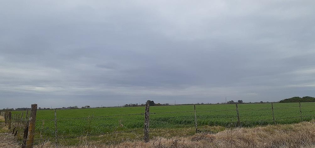 CAMPO AGRICOLA  EN VENTA.- CHACABUCO. COD.122