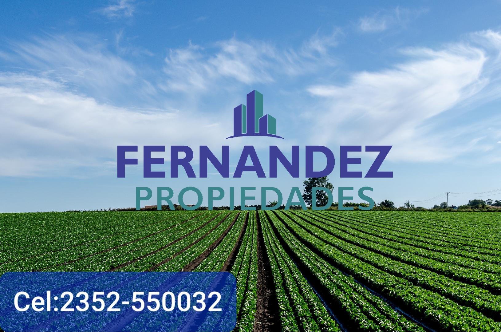 EN VENTA 3,5 HECTÁREAS AGRÍCOLAS A 400 mts DE RUTA 191. CHACABUCO.-  COD. 152
