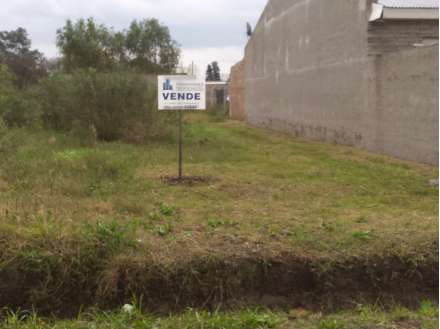 IMPORTANTE TERRENO EN VENTA DE 12 X 43,  SOBRE CALLE SANTA FE. ZONA EN CRECIMIENTO. - CHACABUCO. COD. 50