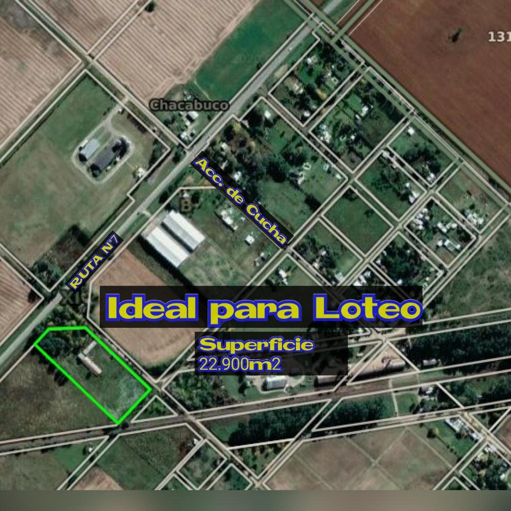 EN VENTA SOBRE RUTA N°7. 2,5 HECTÁREAS , A METROS DE LA ENTRADA DE CUCHA. CHACABUCO.- COD.155