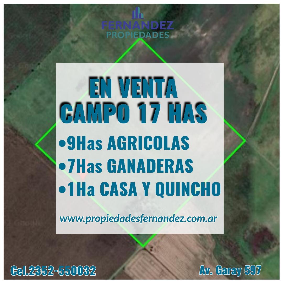 EN VENTA CAMPO MIXTO 17 HECTÁREAS. CHACABUCO.- COD. 210