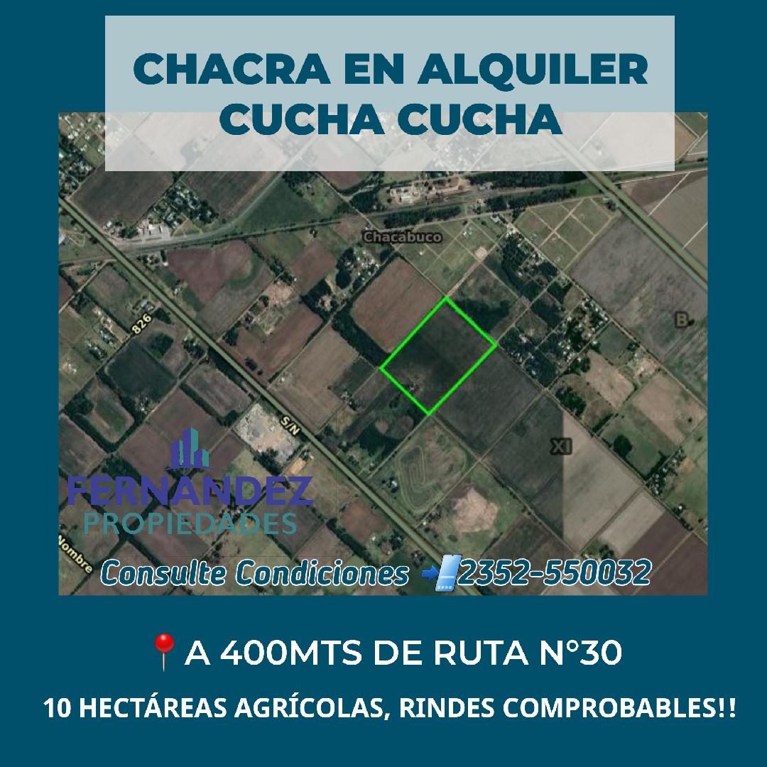 CHACRA EN ALQUILER, EN CUCHA CUCHA. CHACABUCO.- COD. 232