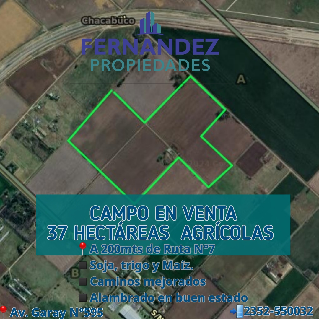CAMPO EN VENTA, 37 HECTÁREAS AGRÍCOLAS.- CHACABUCO PROV. DE BS. AS.  COD. 257