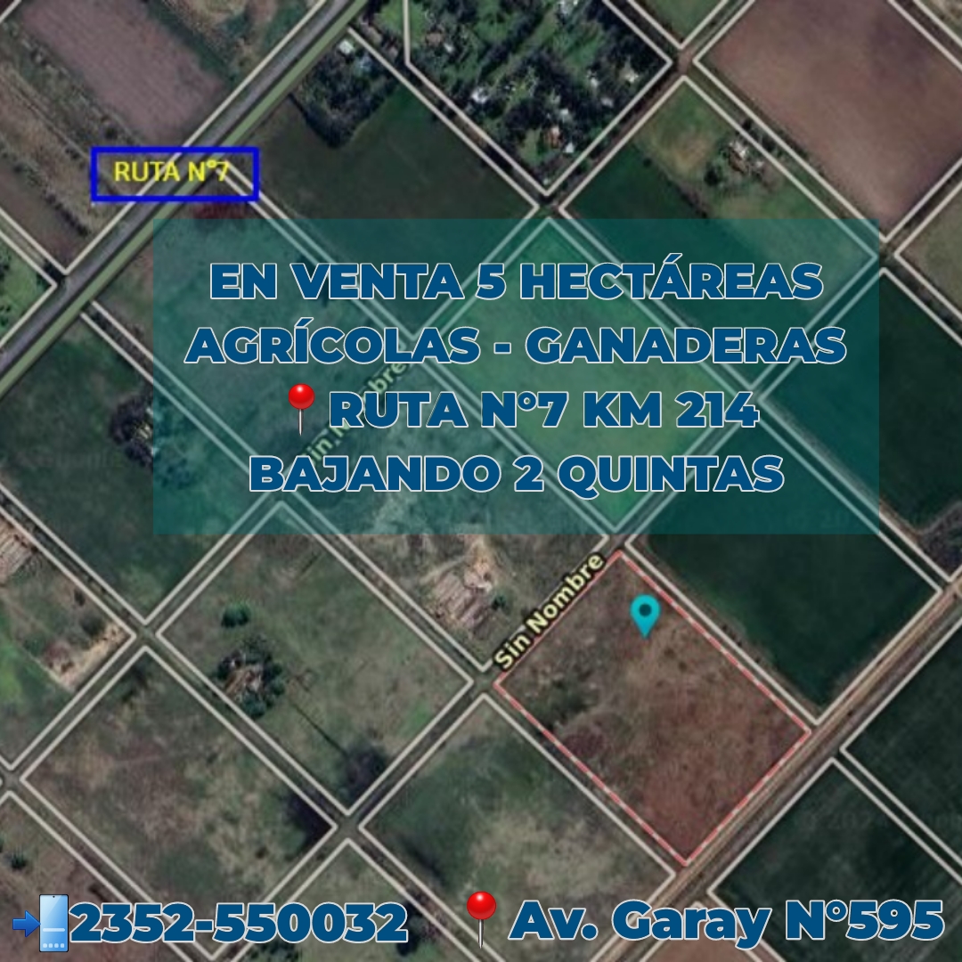 EN VENTA 5 HECTAREAS AGRICOLAS - GANADERAS. A DOS QUINTA DE RUTA N°7. CHACABUCO.-  COD. 262